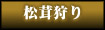 松茸狩り